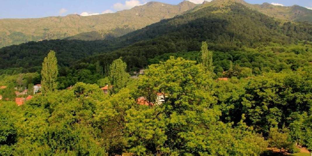 Kışın beyaza yazın yeşile bürünüyor! Herkes Alpler sanıyor ama Ege’de: Bu rota gideni hayran bırakıyor 4